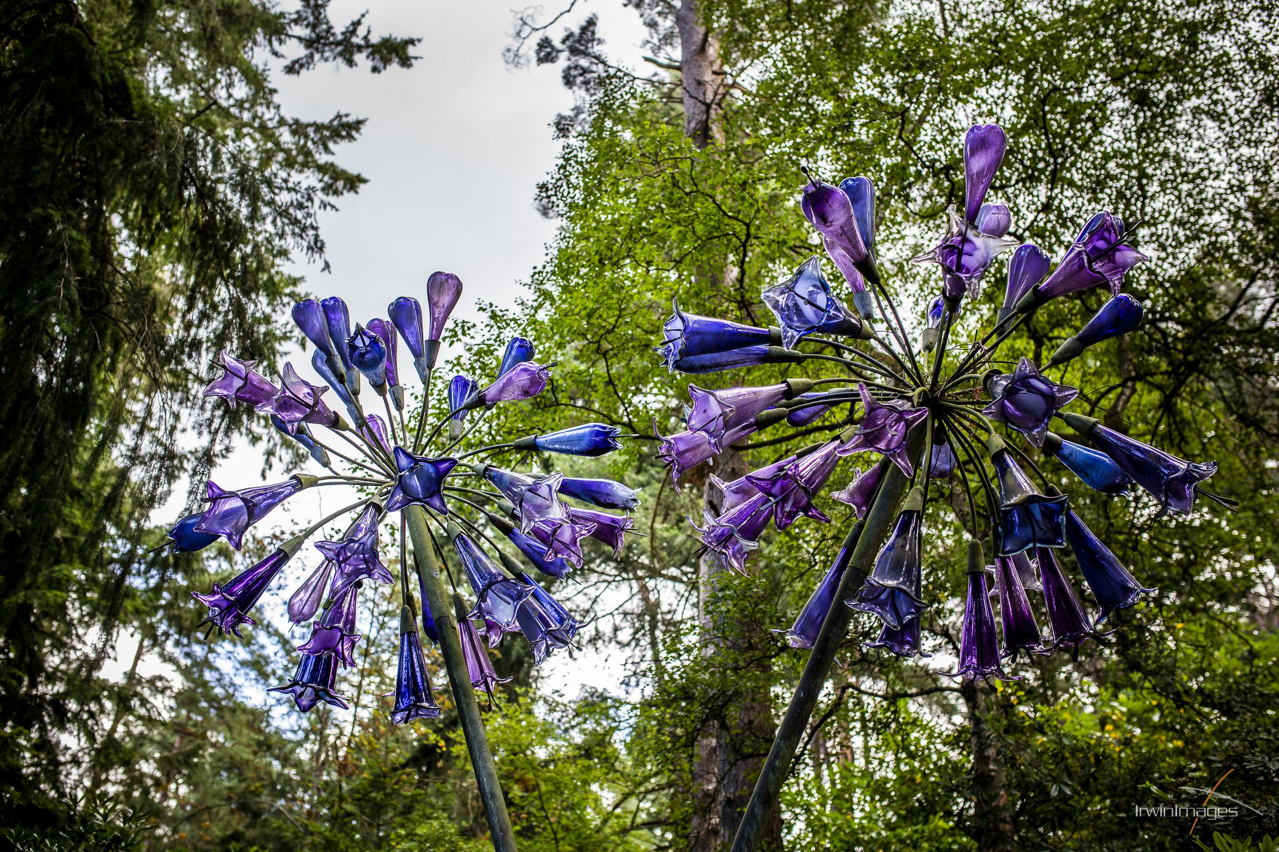 The Sculpture Park